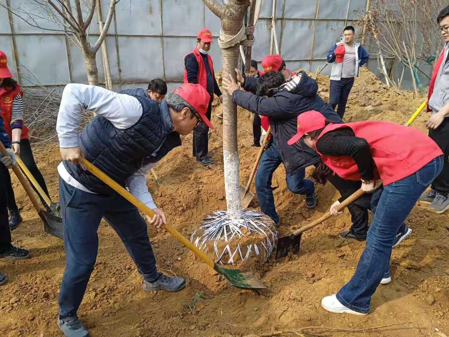 植樹(shù)1.jpg